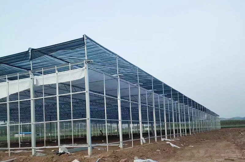 濟寧玻璃溫室工程