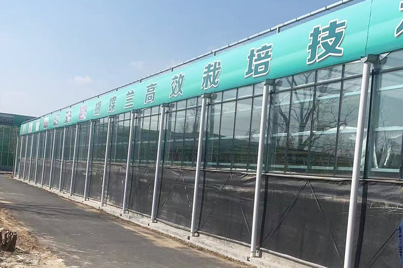 蝴蝶蘭玻璃溫室案例