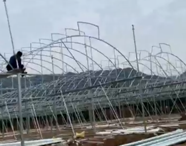 視頻展示