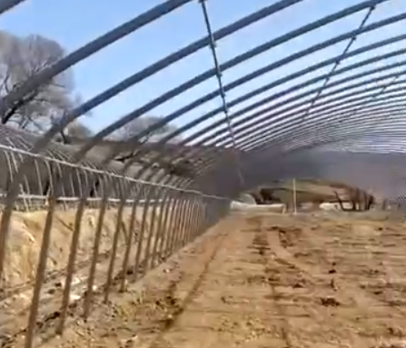 視頻展示