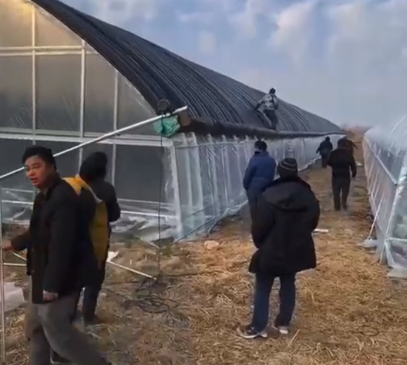 視頻展示